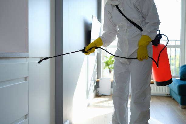 Best Mold Cleaning Services  in Lake Hiawatha, NJ