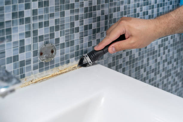 Trusted Lake Hiawatha, NJ Mold Removal Experts