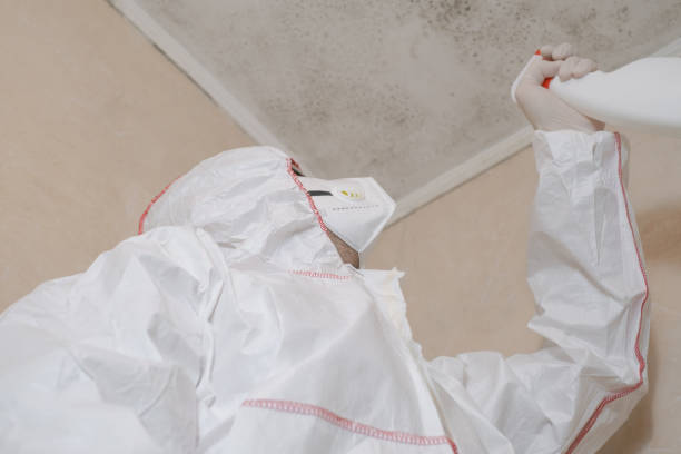 Best Black Mold Removal  in Lake Hiawatha, NJ