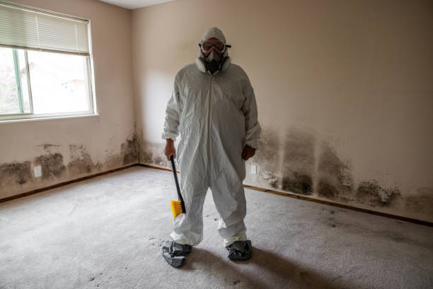 Mold Testing and Removal in Lake Hiawatha, NJ